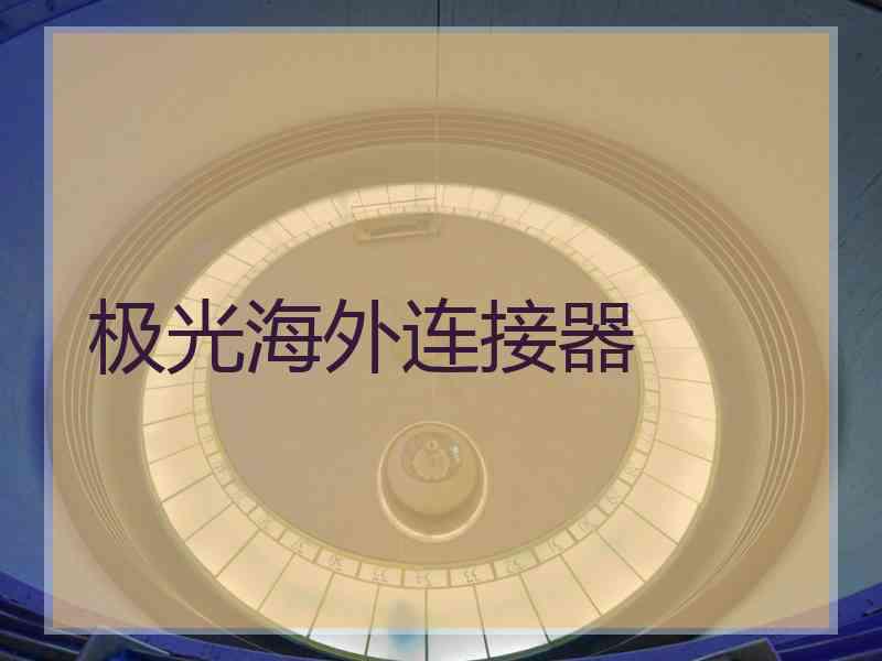 极光海外连接器