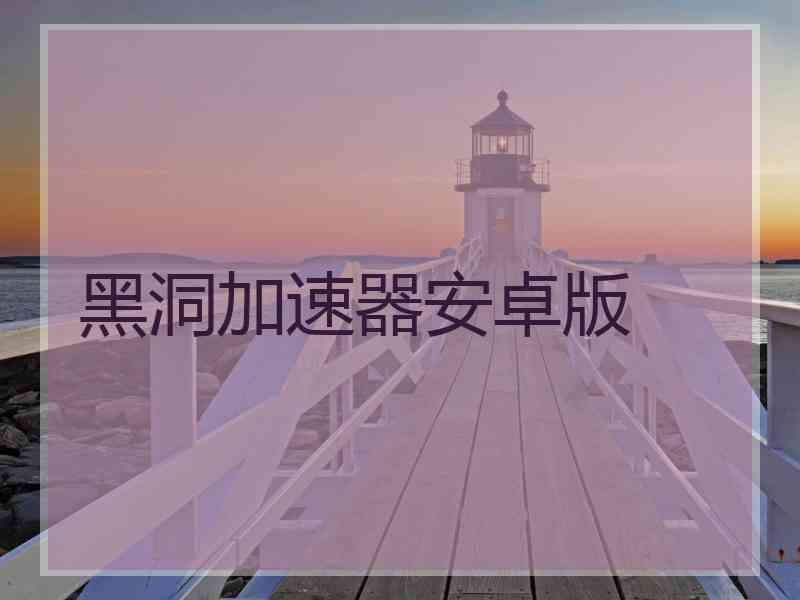 黑洞加速器安卓版