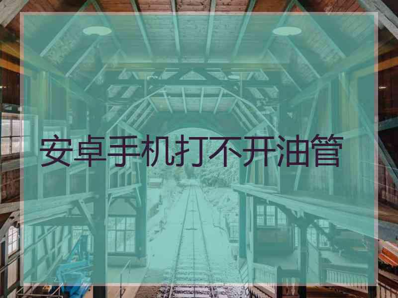 安卓手机打不开油管