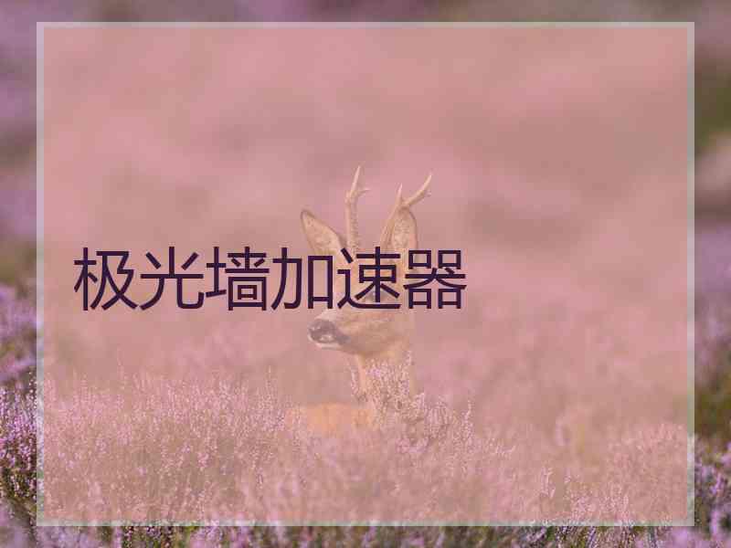 极光墙加速器