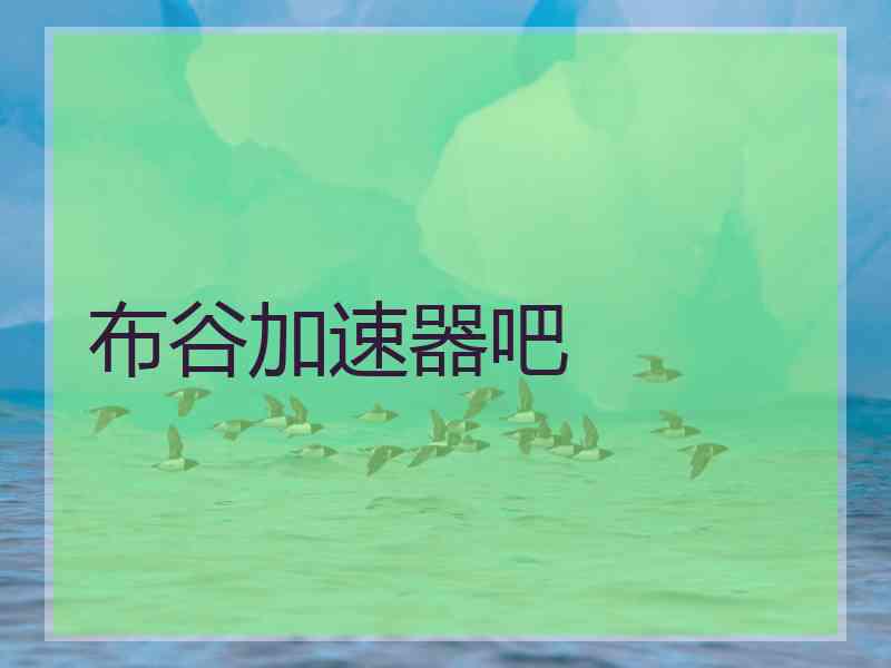 布谷加速器吧