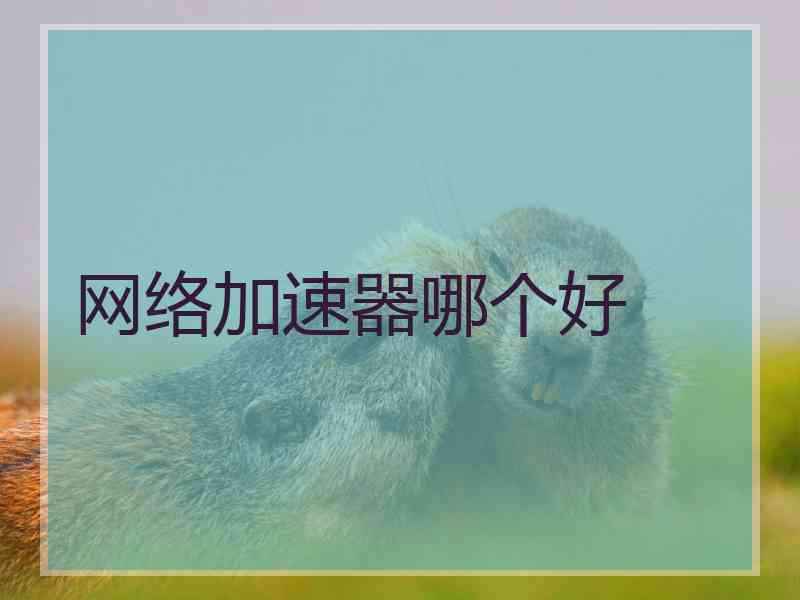 网络加速器哪个好