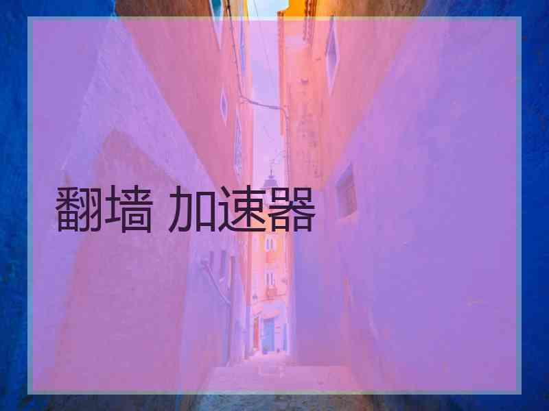 翻墙 加速器