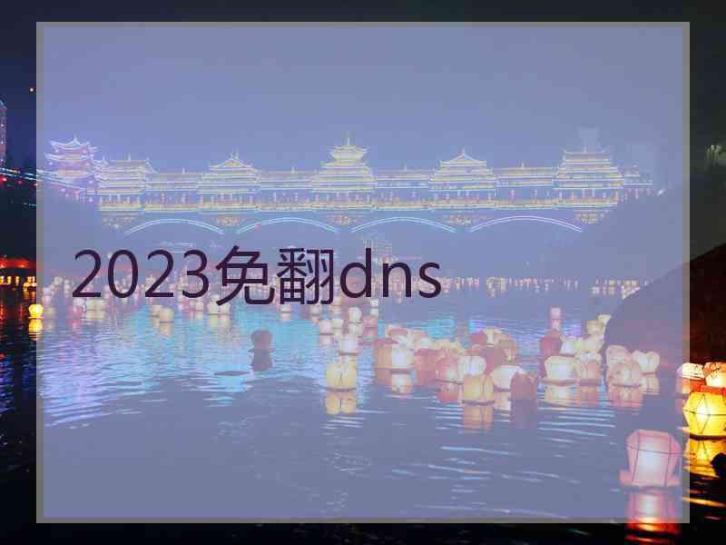 2023免翻dns
