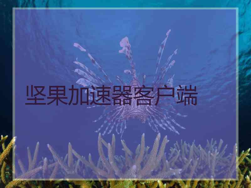 坚果加速器客户端