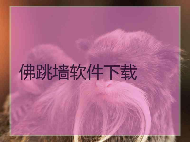 佛跳墙软件下载