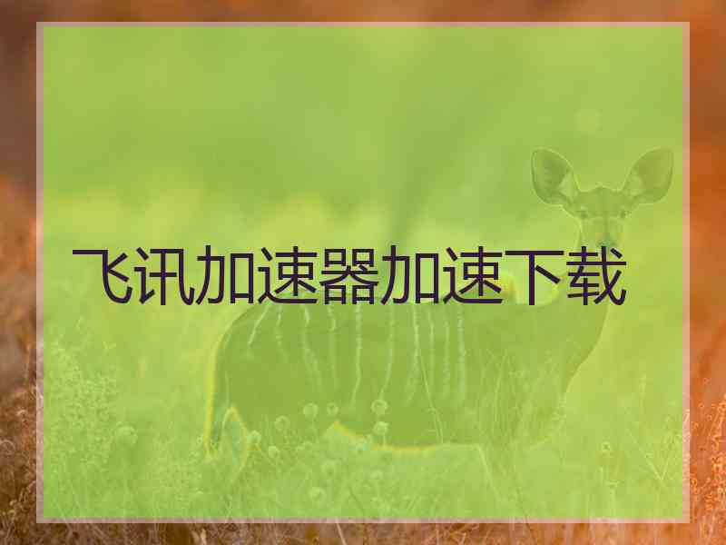 飞讯加速器加速下载
