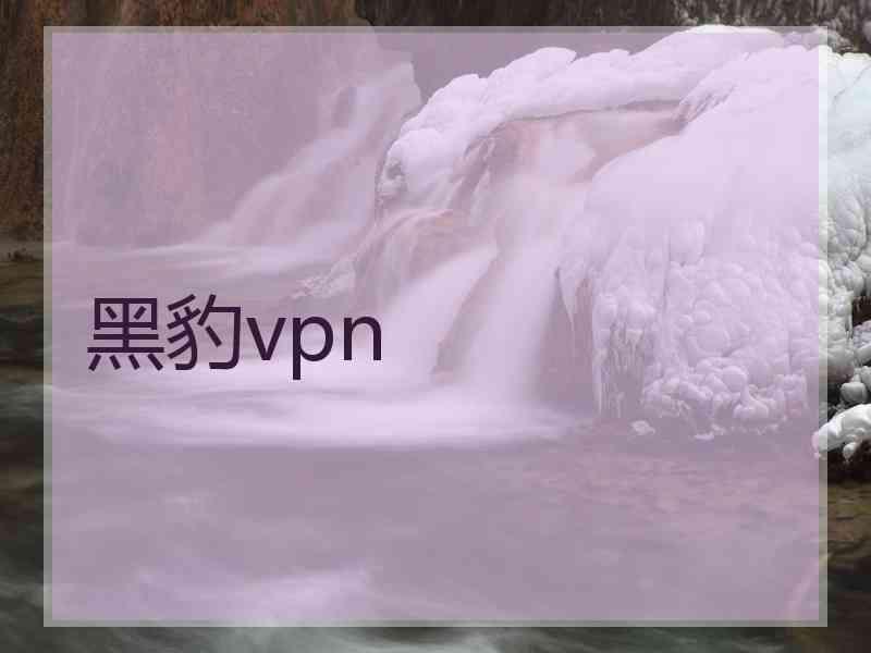黑豹vpn