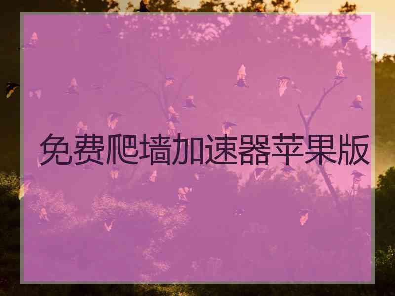 免费爬墙加速器苹果版