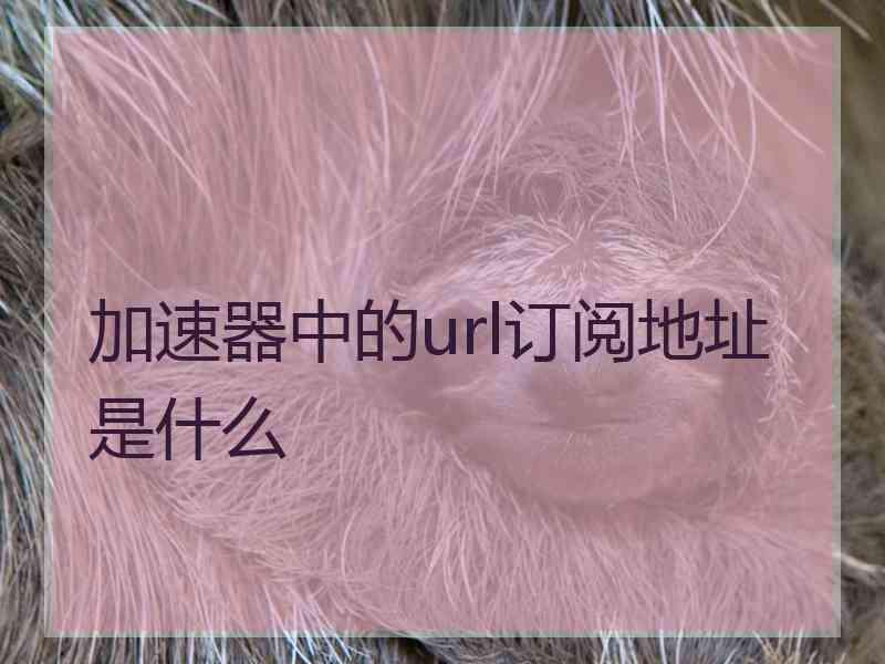 加速器中的url订阅地址是什么