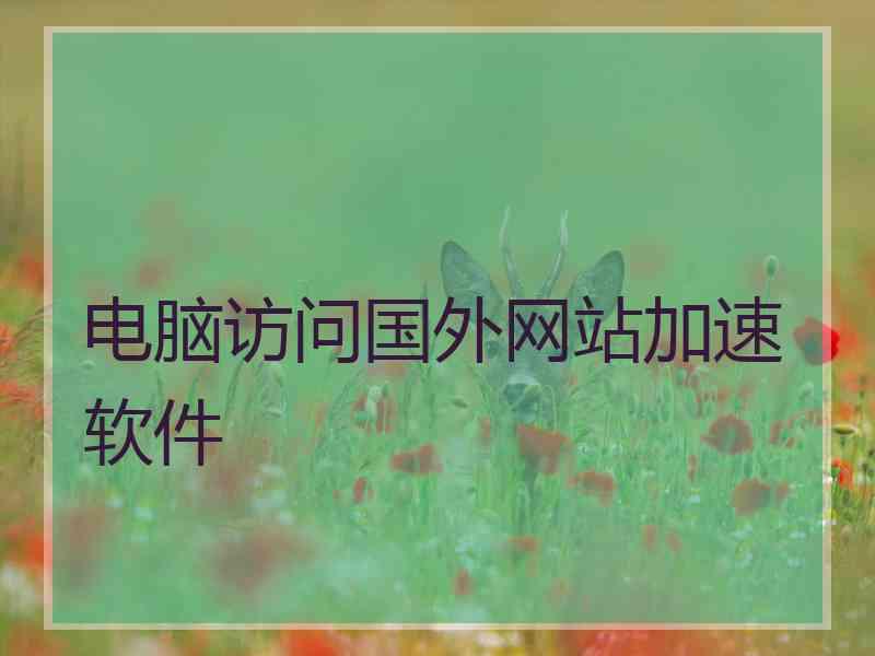 电脑访问国外网站加速软件