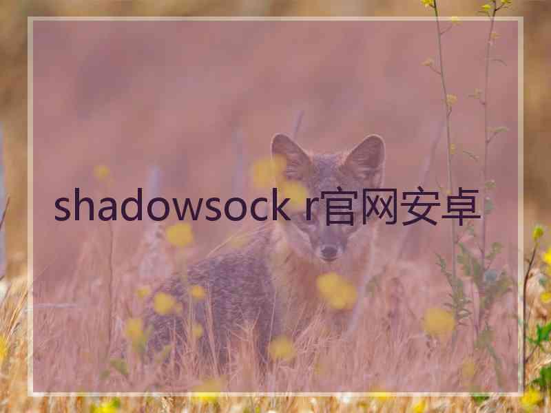 shadowsock r官网安卓