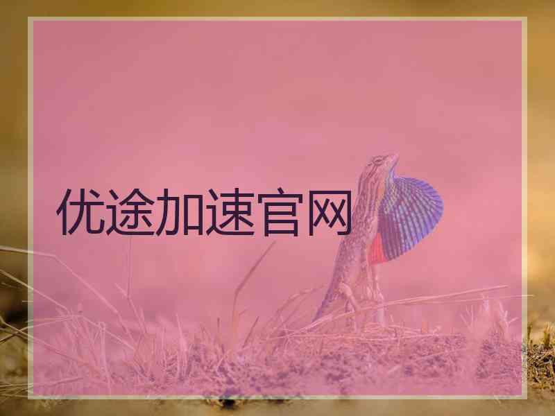 优途加速官网