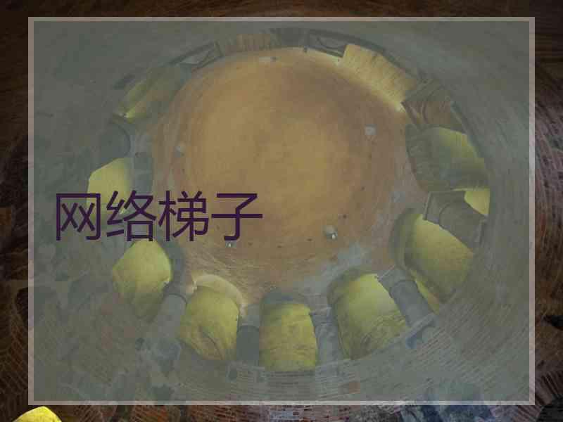 网络梯子