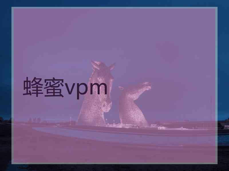蜂蜜vpm