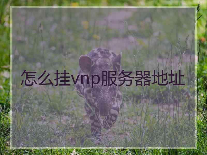 怎么挂vnp服务器地址