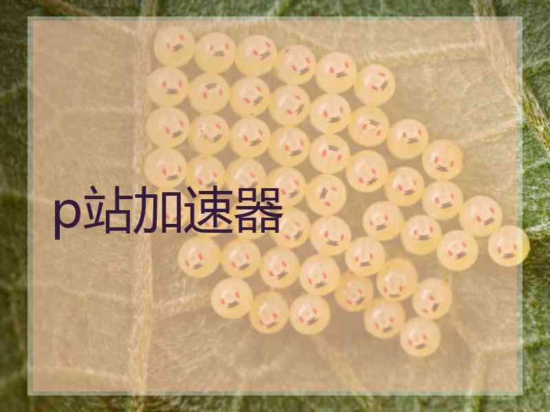 p站加速器