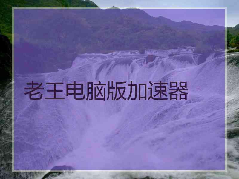 老王电脑版加速器