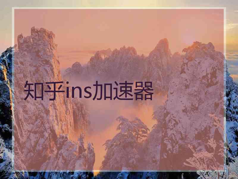 知乎ins加速器