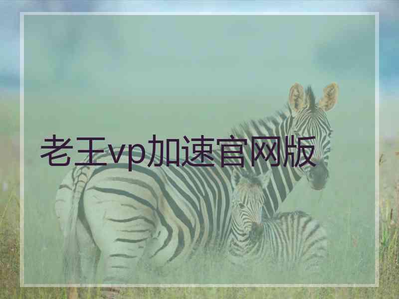 老王vp加速官网版