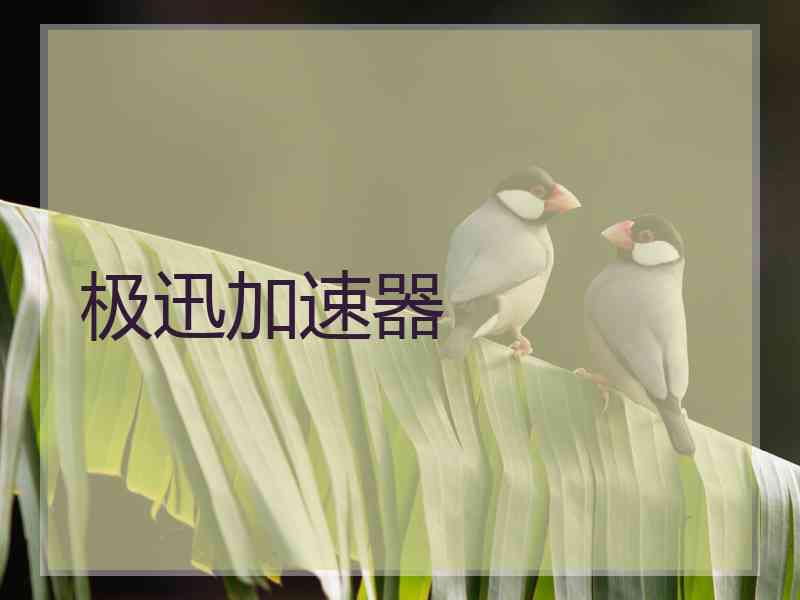 极迅加速器