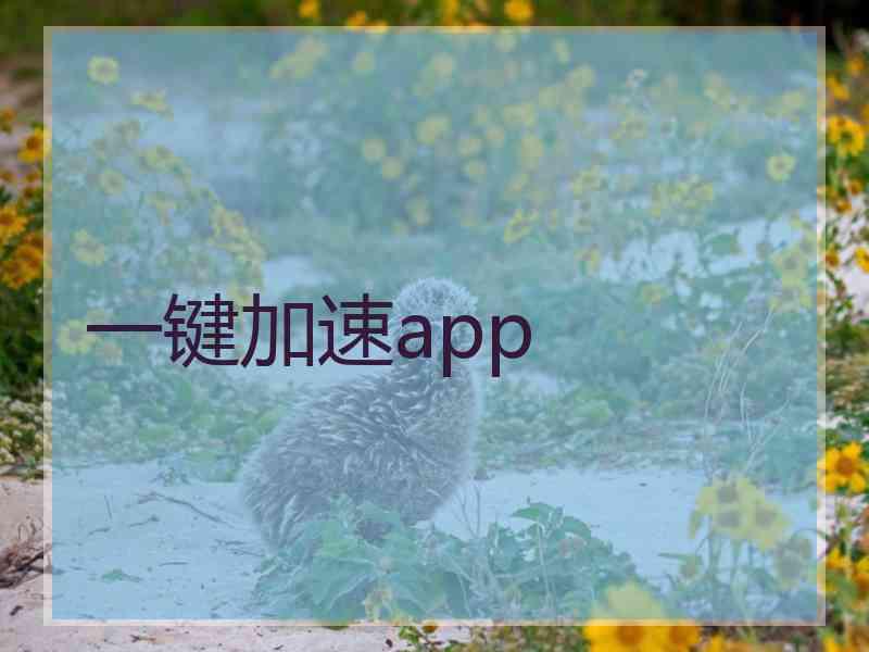一键加速app