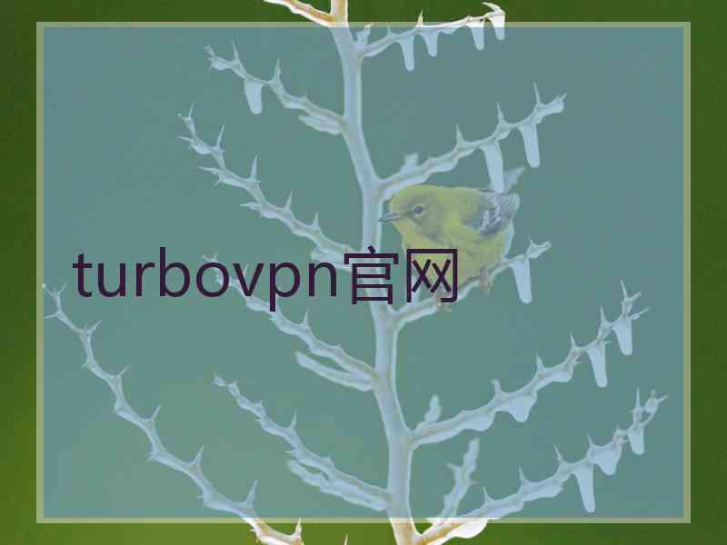 turbovpn官网