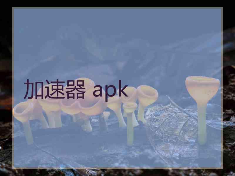 加速器 apk