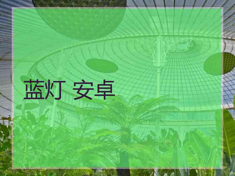 蓝灯 安卓