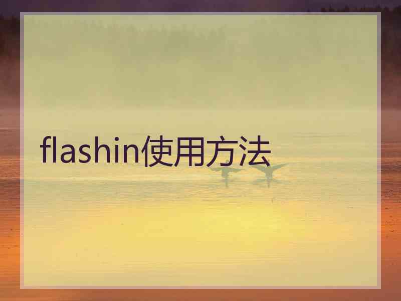 flashin使用方法