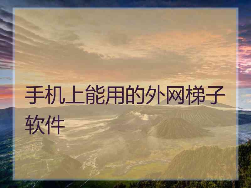 手机上能用的外网梯子软件
