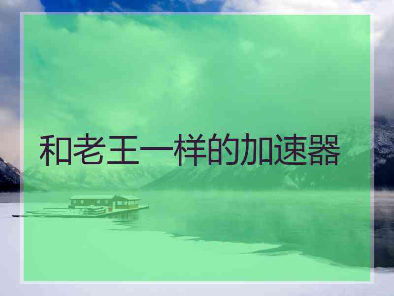 和老王一样的加速器