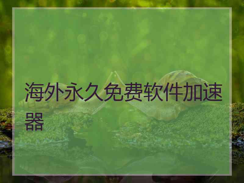 海外永久免费软件加速器
