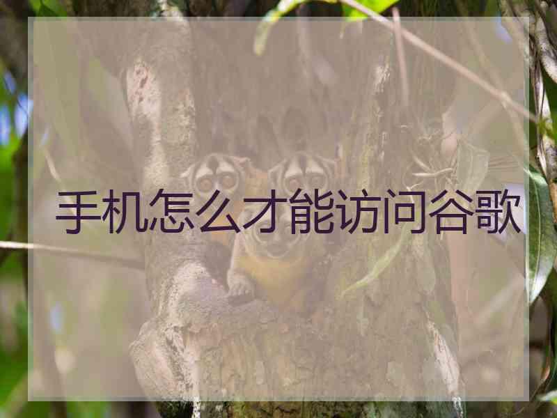 手机怎么才能访问谷歌