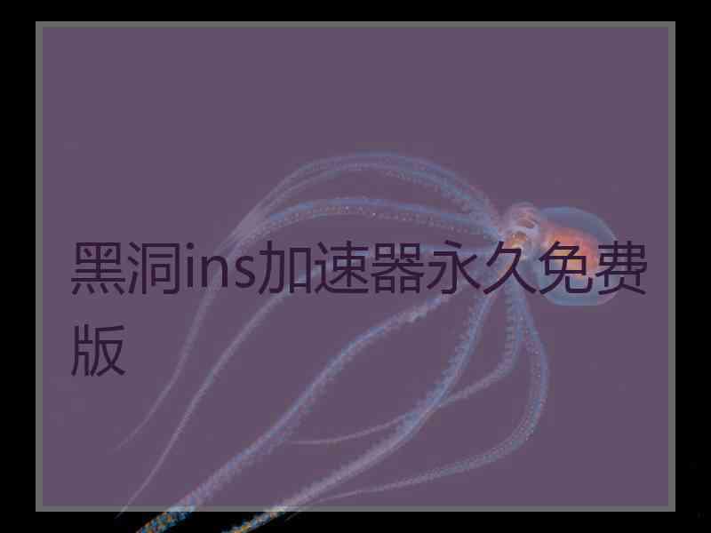 黑洞ins加速器永久免费版