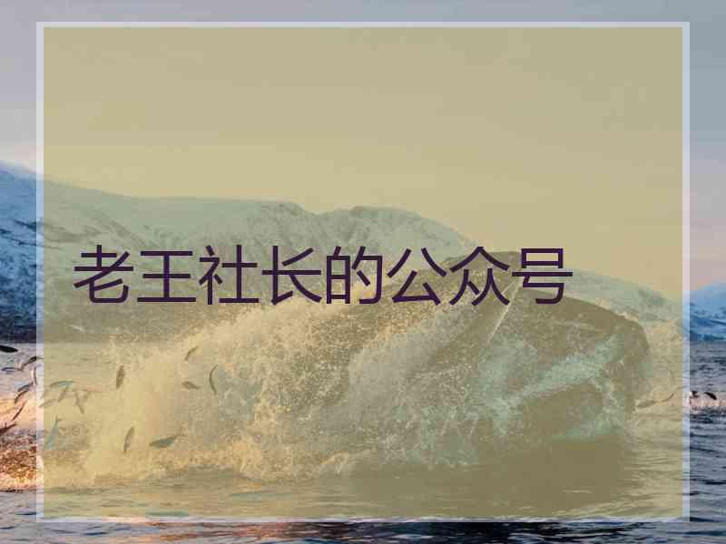 老王社长的公众号