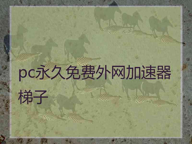 pc永久免费外网加速器梯子