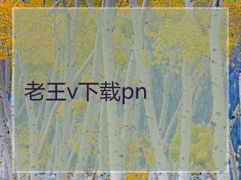 老王v下载pn