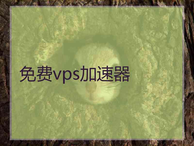 免费vps加速器