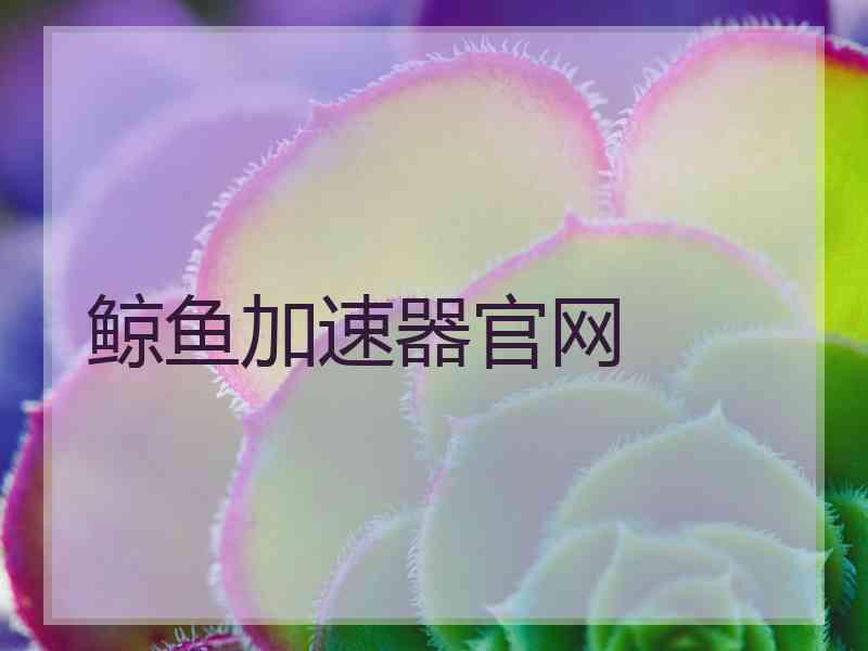 鲸鱼加速器官网