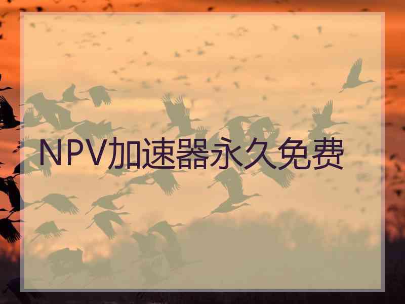 NPV加速器永久免费