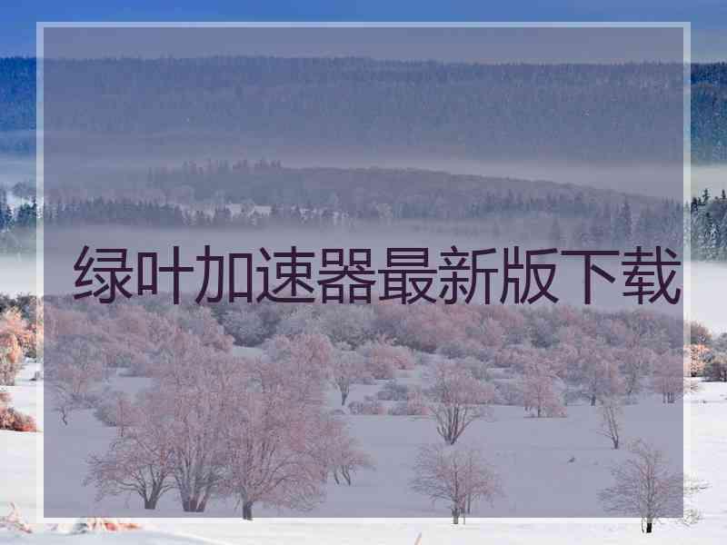 绿叶加速器最新版下载