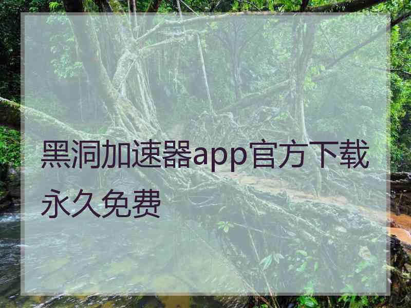 黑洞加速器app官方下载永久免费