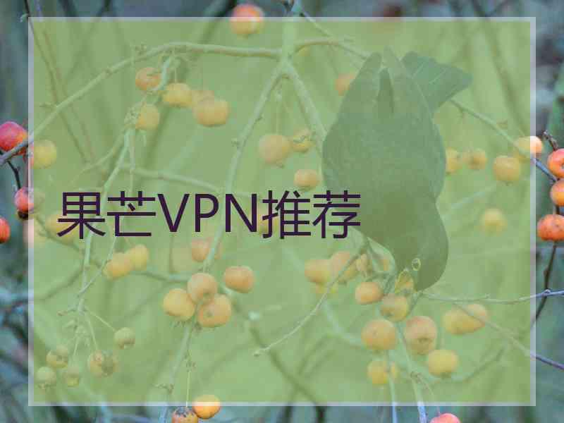 果芒VPN推荐