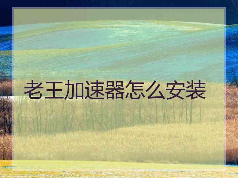 老王加速器怎么安装