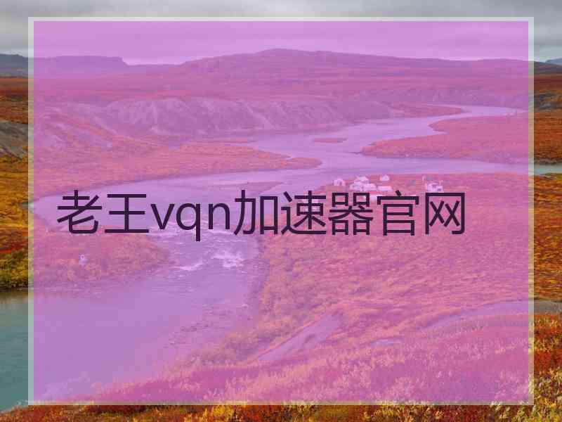 老王vqn加速器官网