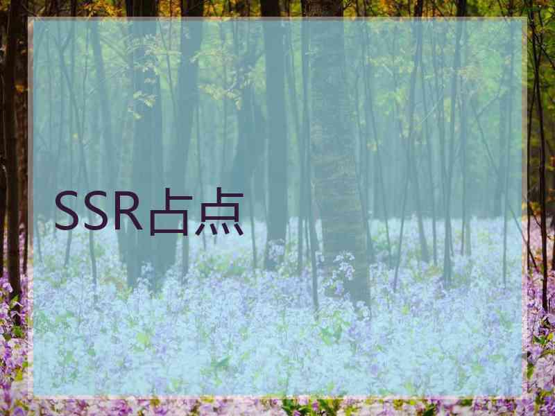 SSR占点