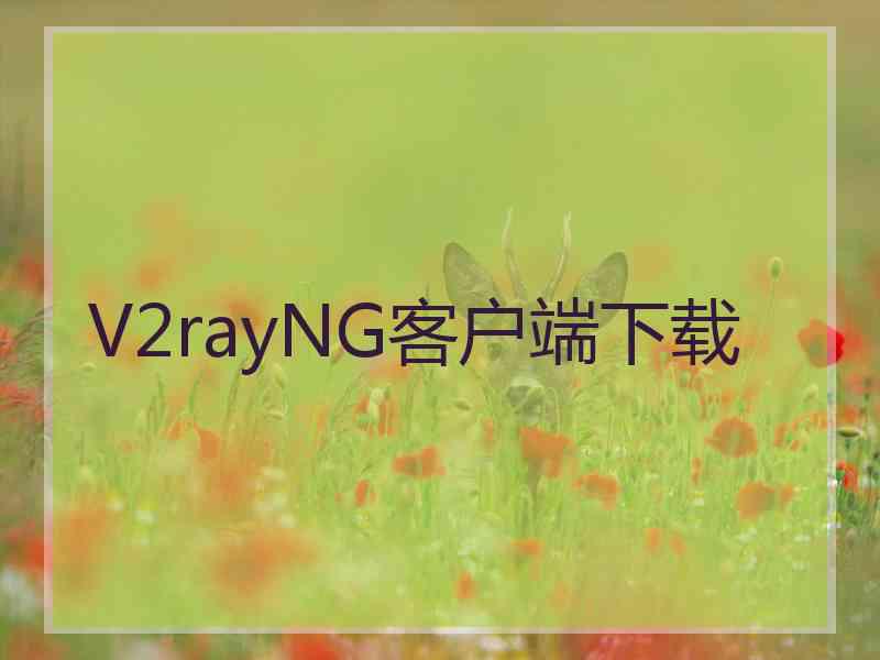 V2rayNG客户端下载