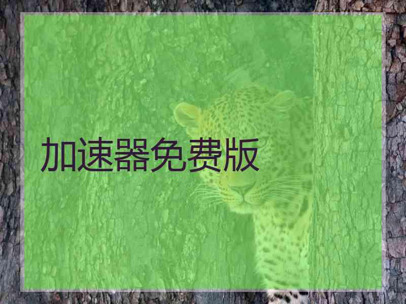 加速器免费版