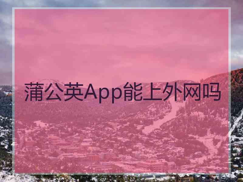蒲公英App能上外网吗